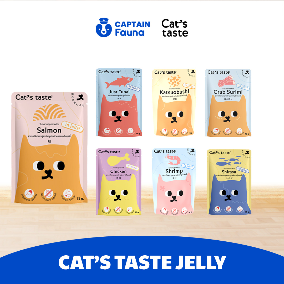 Cat Wet Food Pouch Jelly 70g